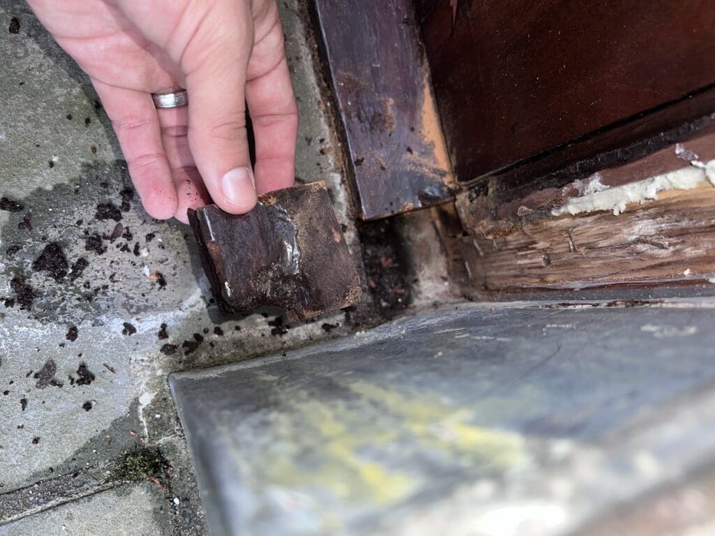 Hand inspecting damaged wood and mold near a door frame.